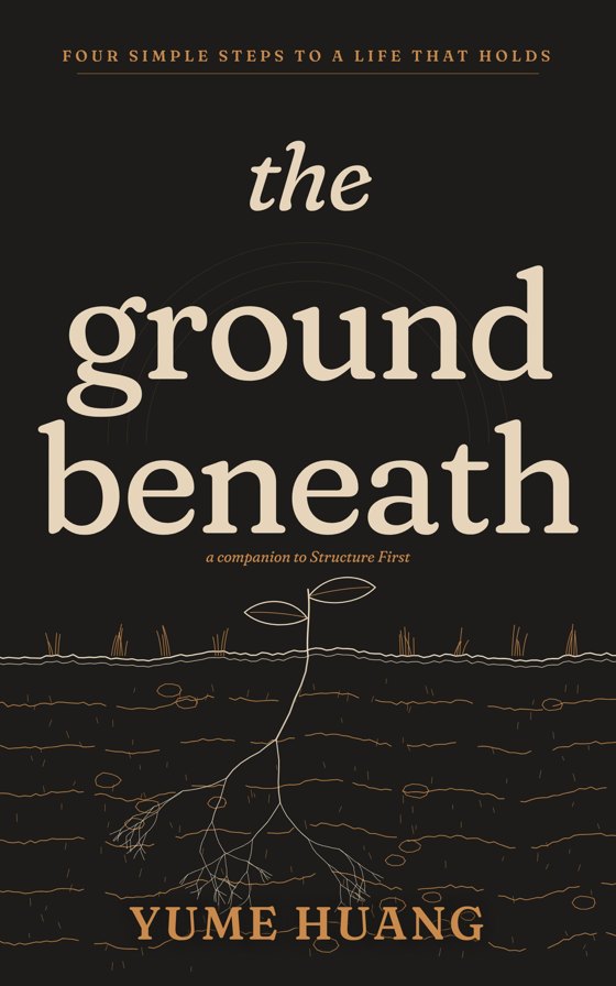 The Ground Beneath book cover