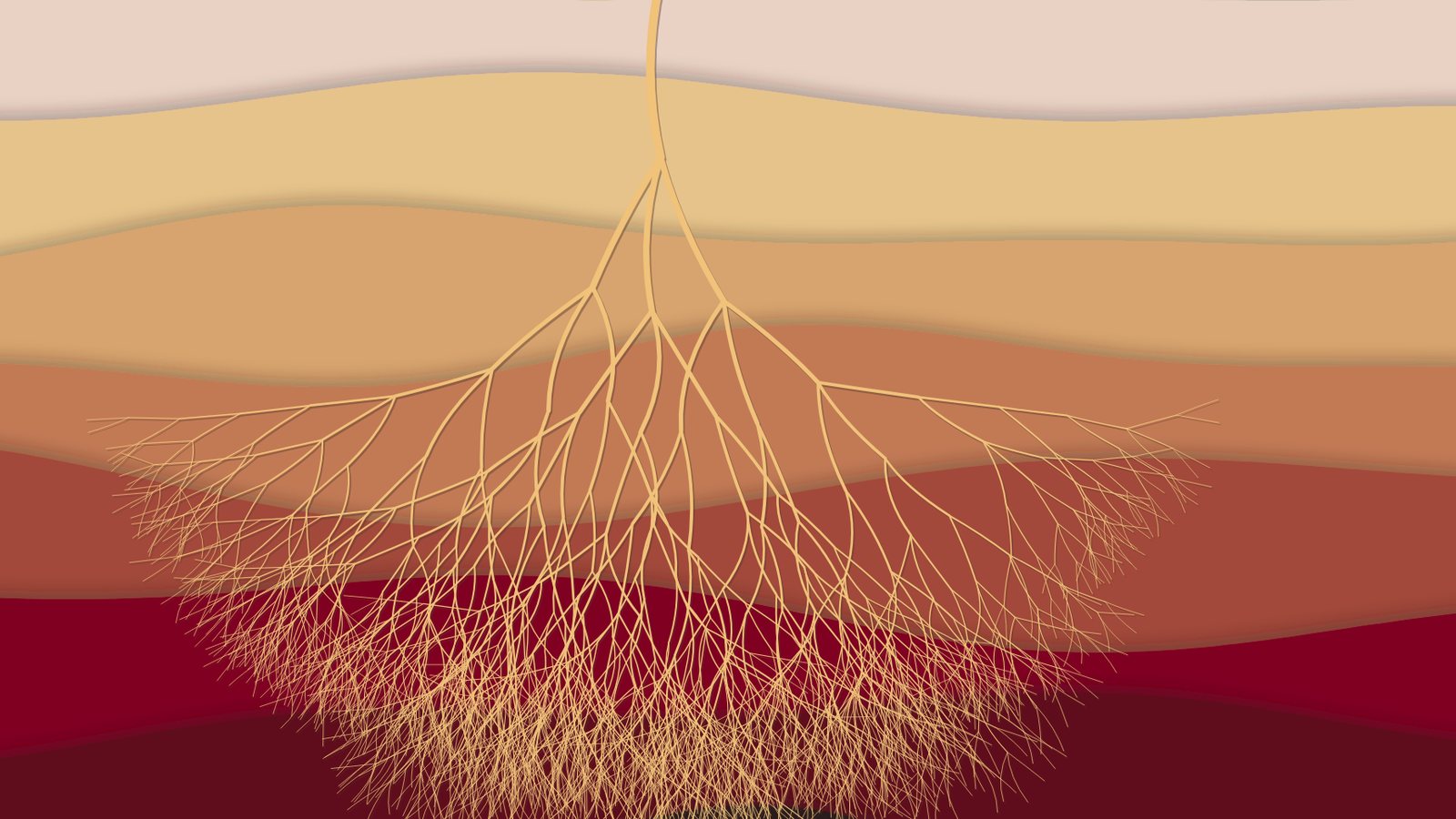 Golden roots reaching down through layers of earth